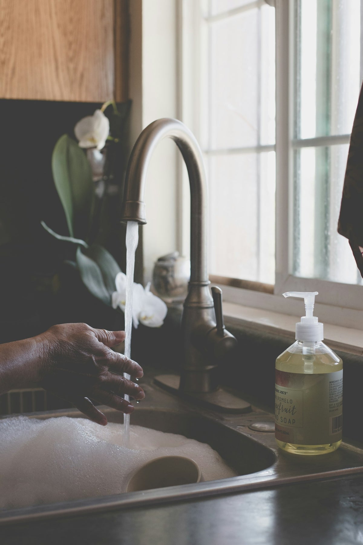 Plant-Based Dish Soap