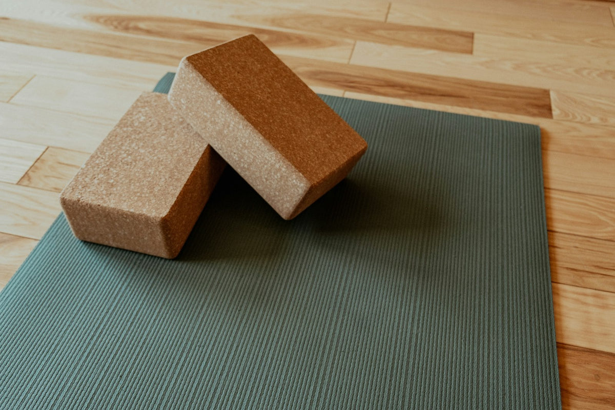 Cork Yoga Blocks (Pair)